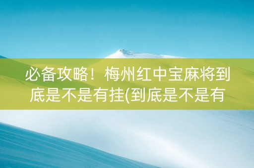 必备攻略！梅州红中宝麻将到底是不是有挂(到底是不是有挂)