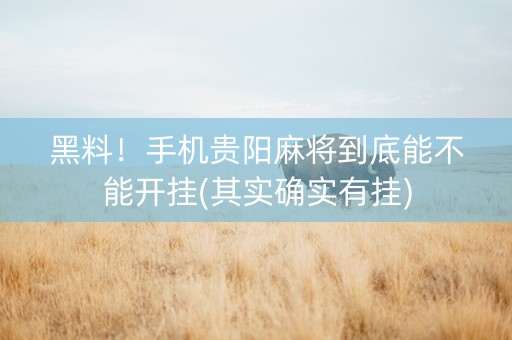 黑料！手机贵阳麻将到底能不能开挂(其实确实有挂)
