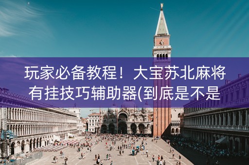 玩家必备教程！大宝苏北麻将有挂技巧辅助器(到底是不是有挂)