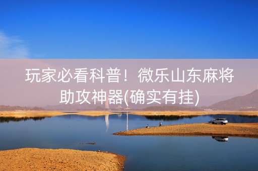 玩家必看科普！微乐山东麻将助攻神器(确实有挂)