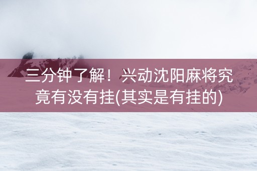 三分钟了解！兴动沈阳麻将究竟有没有挂(其实是有挂的)