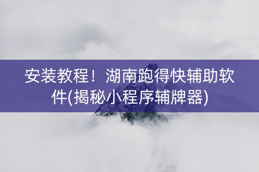 安装教程！湖南跑得快辅助软件(揭秘小程序辅牌器)