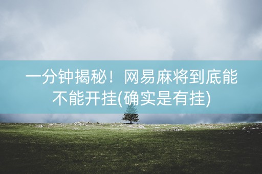 一分钟揭秘！网易麻将到底能不能开挂(确实是有挂)