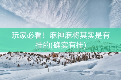 玩家必看！麻神麻将其实是有挂的(确实有挂)