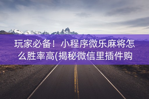 玩家必备！小程序微乐麻将怎么胜率高(揭秘微信里插件购买)