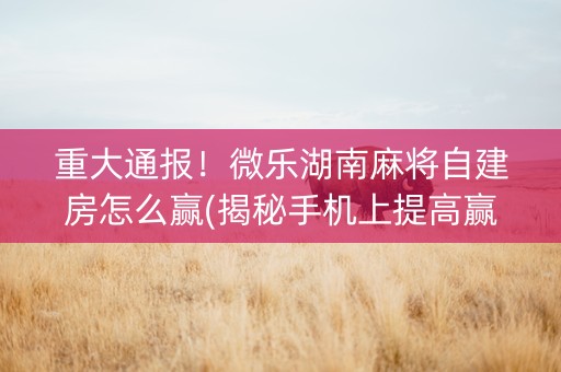 重大通报！微乐湖南麻将自建房怎么赢(揭秘手机上提高赢的概率)