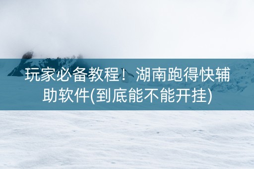 玩家必备教程！湖南跑得快辅助软件(到底能不能开挂)