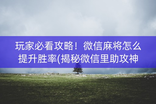 玩家必看攻略！微信麻将怎么提升胜率(揭秘微信里助攻神器)