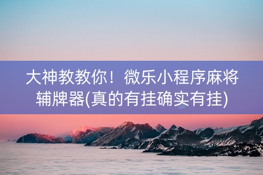 大神教教你！微乐小程序麻将辅牌器(真的有挂确实有挂)