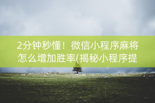 2分钟秒懂！微信小程序麻将怎么增加胜率(揭秘小程序提高赢的概率)
