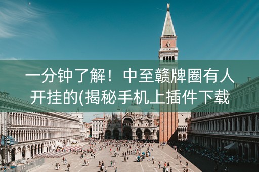 一分钟了解！中至赣牌圈有人开挂的(揭秘手机上插件下载)