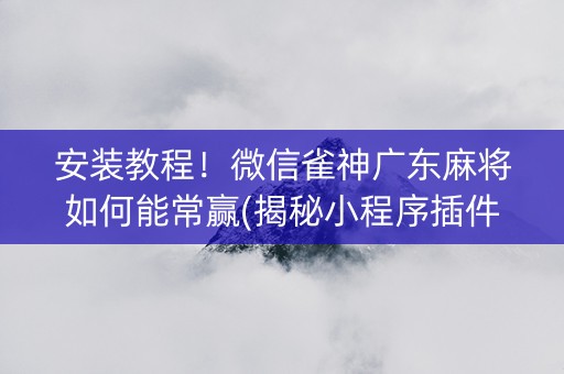 安装教程！微信雀神广东麻将如何能常赢(揭秘小程序插件下载)