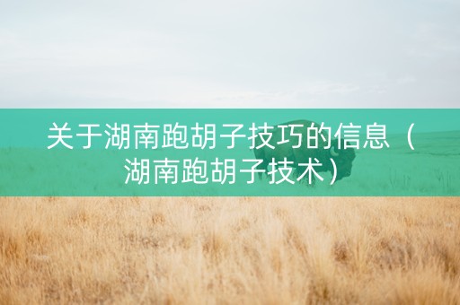 关于湖南跑胡子技巧的信息（湖南跑胡子技术）