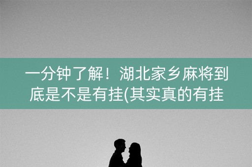一分钟了解！湖北家乡麻将到底是不是有挂(其实真的有挂)
