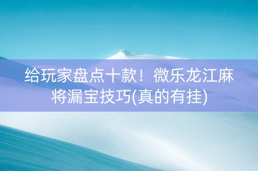 给玩家盘点十款！微乐龙江麻将漏宝技巧(真的有挂)