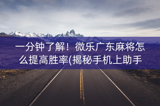 一分钟了解！微乐广东麻将怎么提高胜率(揭秘手机上助手软件)