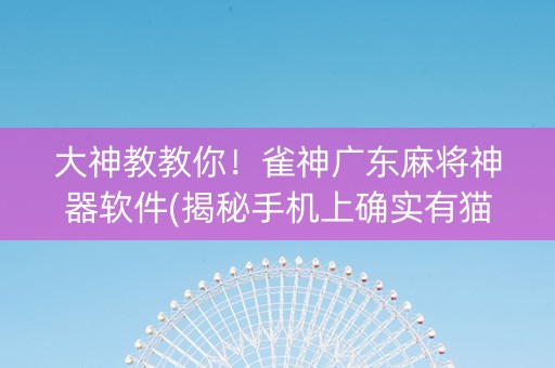 大神教教你！雀神广东麻将神器软件(揭秘手机上确实有猫腻)