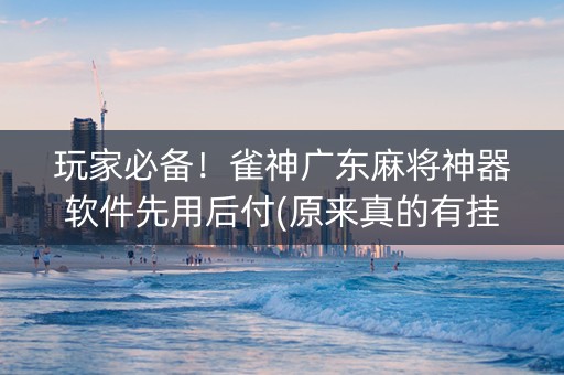 玩家必备！雀神广东麻将神器软件先用后付(原来真的有挂呢)