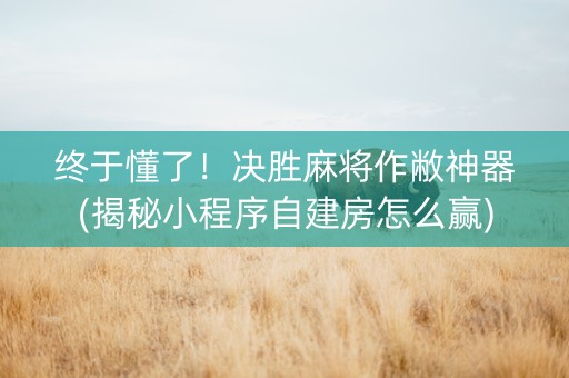终于懂了！决胜麻将作敝神器(揭秘小程序自建房怎么赢)