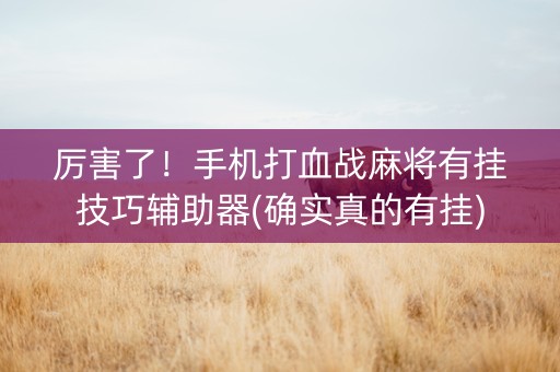 厉害了！手机打血战麻将有挂技巧辅助器(确实真的有挂)