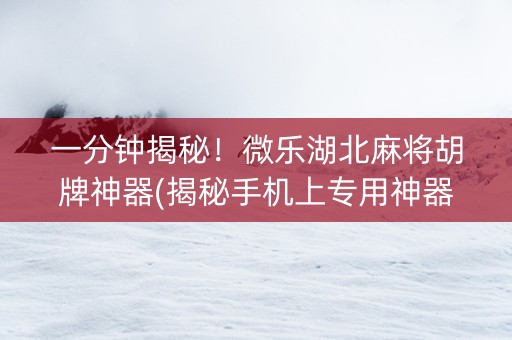 一分钟揭秘！微乐湖北麻将胡牌神器(揭秘手机上专用神器下载)