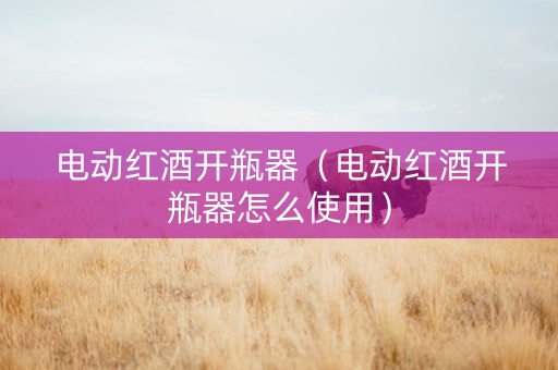 电动红酒开瓶器（电动红酒开瓶器怎么使用）