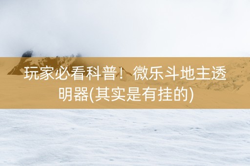 玩家必看科普！微乐斗地主透明器(其实是有挂的)
