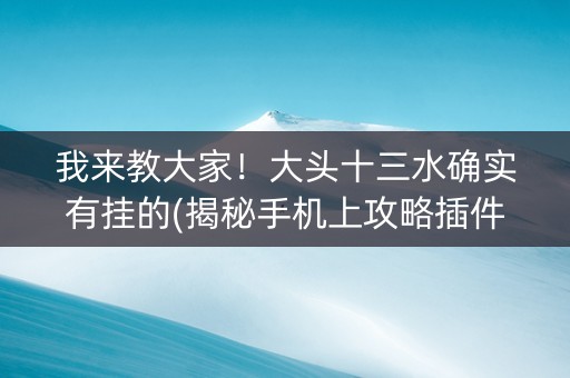 我来教大家！大头十三水确实有挂的(揭秘手机上攻略插件)