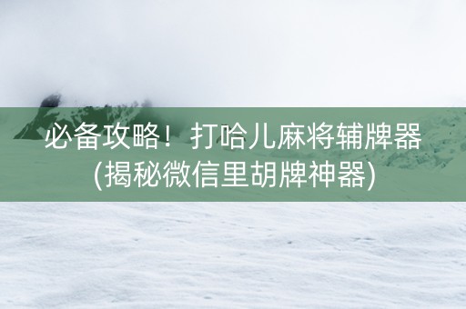 必备攻略！打哈儿麻将辅牌器(揭秘微信里胡牌神器)