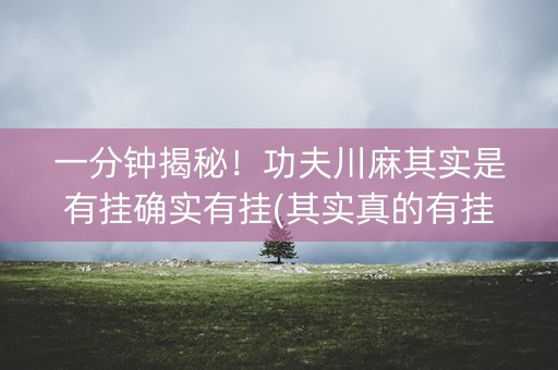 一分钟揭秘！功夫川麻其实是有挂确实有挂(其实真的有挂)