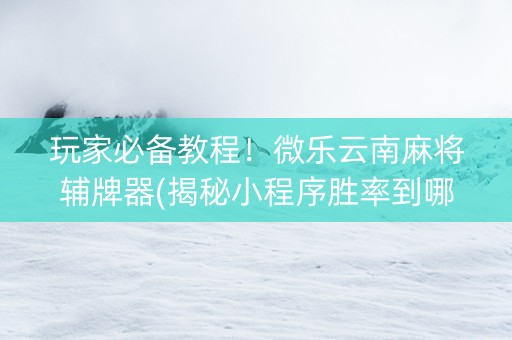 玩家必备教程！微乐云南麻将辅牌器(揭秘小程序胜率到哪调)