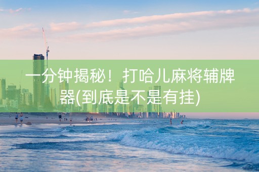 一分钟揭秘！打哈儿麻将辅牌器(到底是不是有挂)