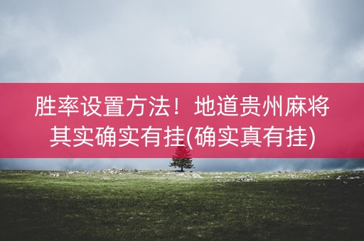 胜率设置方法！地道贵州麻将其实确实有挂(确实真有挂)