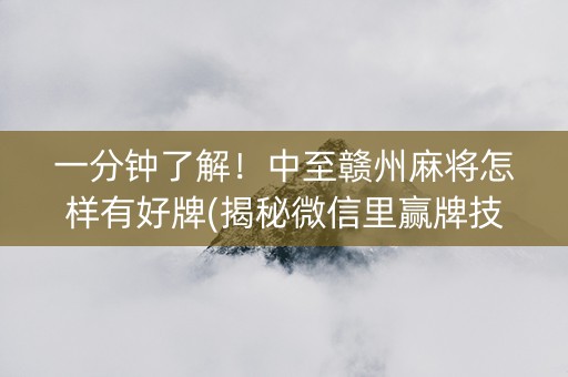 一分钟了解！中至赣州麻将怎样有好牌(揭秘微信里赢牌技巧)