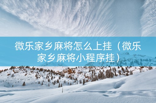 微乐家乡麻将怎么上挂（微乐家乡麻将小程序挂）