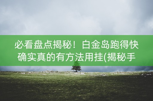 必看盘点揭秘！白金岛跑得快确实真的有方法用挂(揭秘手机上辅牌器)