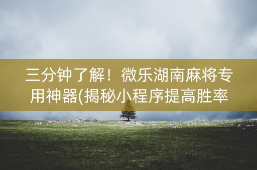 三分钟了解！微乐湖南麻将专用神器(揭秘小程序提高胜率)