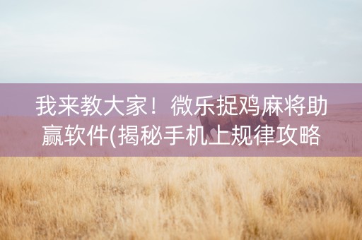 我来教大家！微乐捉鸡麻将助赢软件(揭秘手机上规律攻略)