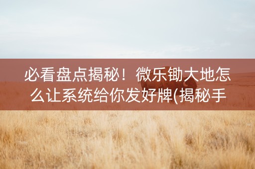 必看盘点揭秘！微乐锄大地怎么让系统给你发好牌(揭秘手机上专用神器下载)