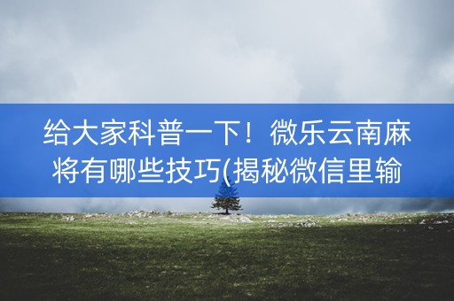 给大家科普一下！微乐云南麻将有哪些技巧(揭秘微信里输赢技巧)