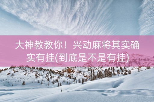 大神教教你！兴动麻将其实确实有挂(到底是不是有挂)