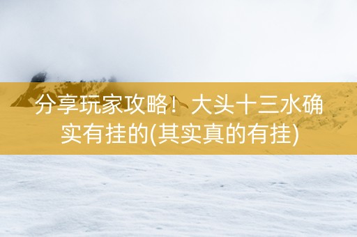 分享玩家攻略！大头十三水确实有挂的(其实真的有挂)