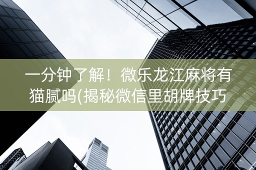 一分钟了解！微乐龙江麻将有猫腻吗(揭秘微信里胡牌技巧)