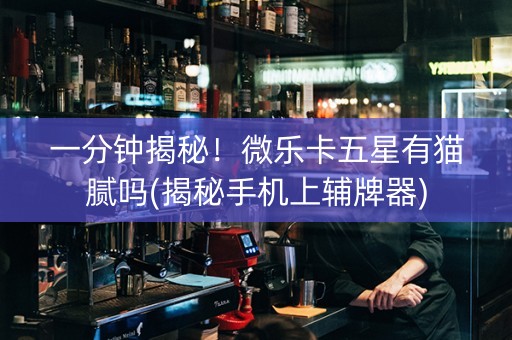 一分钟揭秘！微乐卡五星有猫腻吗(揭秘手机上辅牌器)