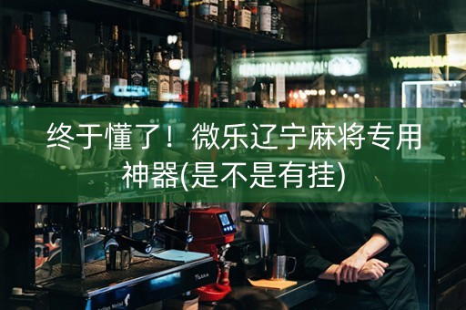 终于懂了！微乐辽宁麻将专用神器(是不是有挂)