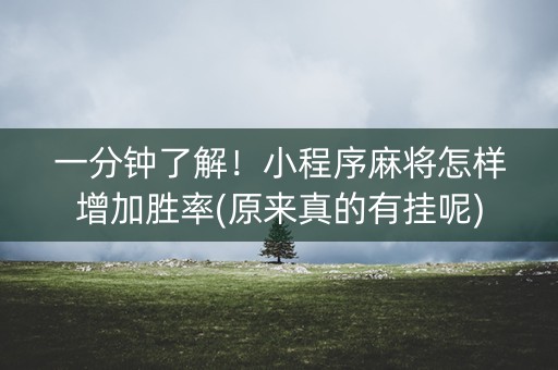 一分钟了解！小程序麻将怎样增加胜率(原来真的有挂呢)