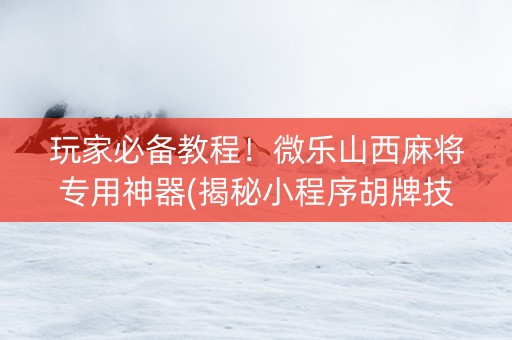 玩家必备教程！微乐山西麻将专用神器(揭秘小程序胡牌技巧)