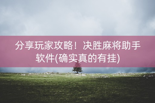 分享玩家攻略！决胜麻将助手软件(确实真的有挂)