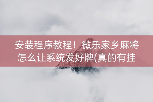 安装程序教程！微乐家乡麻将怎么让系统发好牌(真的有挂)
