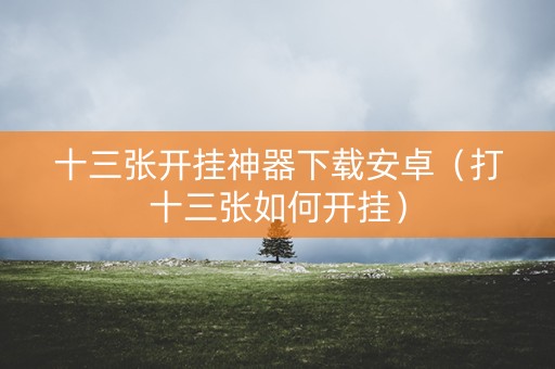 十三张开挂神器下载安卓（打十三张如何开挂）